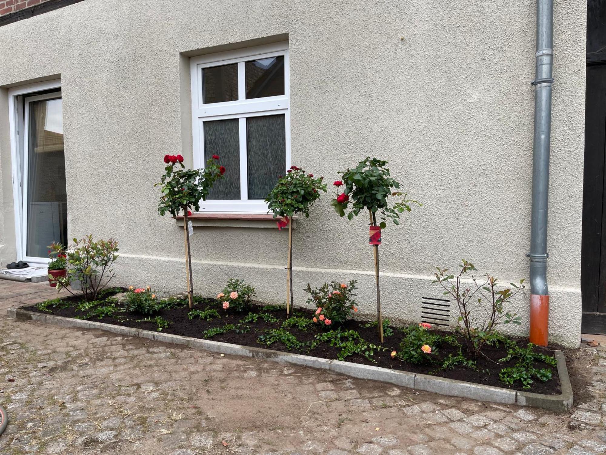 Hofquartier Schwerin Leilighet Schwerin  Eksteriør bilde